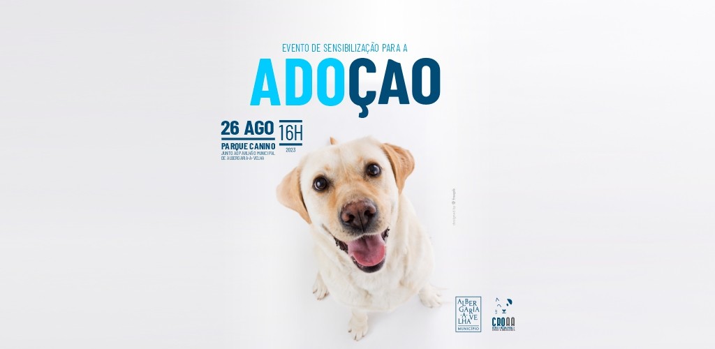 Adoção comunitária garante bem-estar de pets de rua