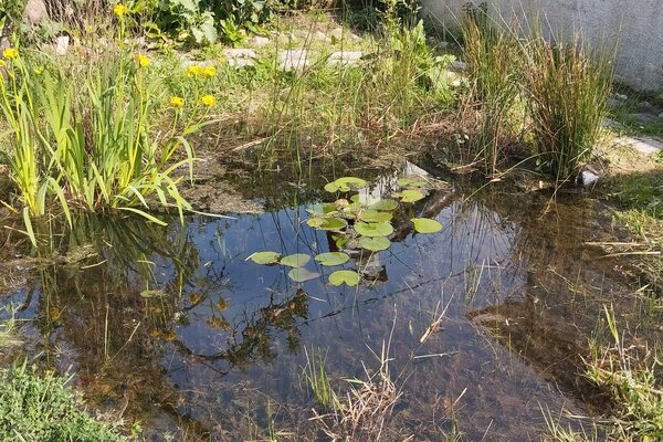 charco_no_dia_9_de_abril_de_2025_r2