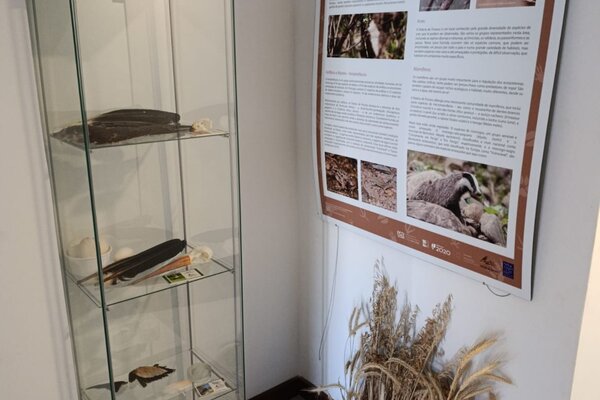 exposicoes_permanentes