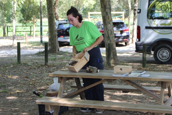 Hotel para insectos 23.07.2022 (7)