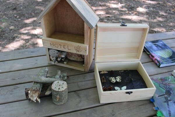 Hotel para insectos 23.07.2022 (6)