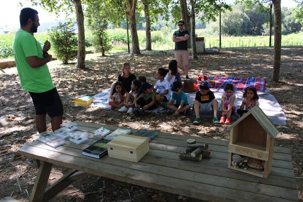 Hotel para insectos 23.07.2022 (9)