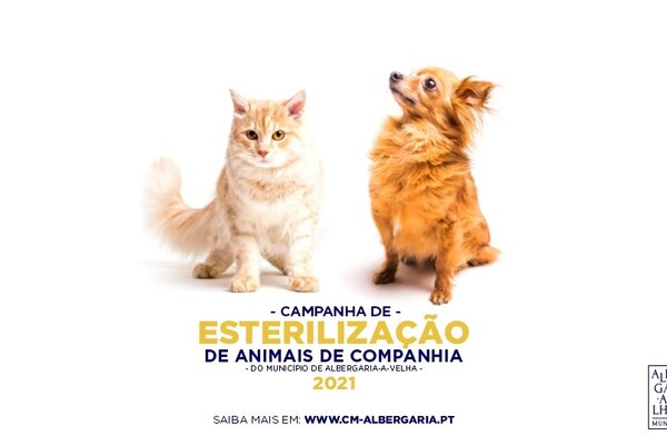 campanha_esterilizacao_banner_site