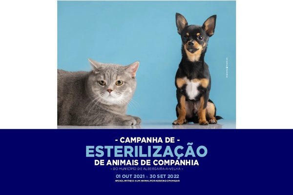 campanha_esterilizacao_2022_noticia