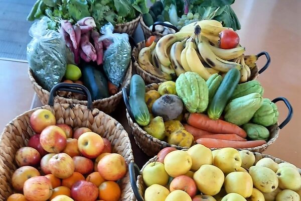 campanha_fruta