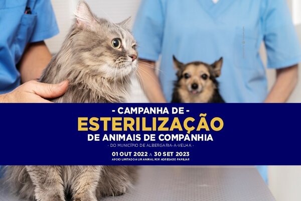 campanha_esterilizacao_2023_noticia