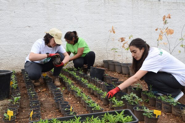 voluntarios