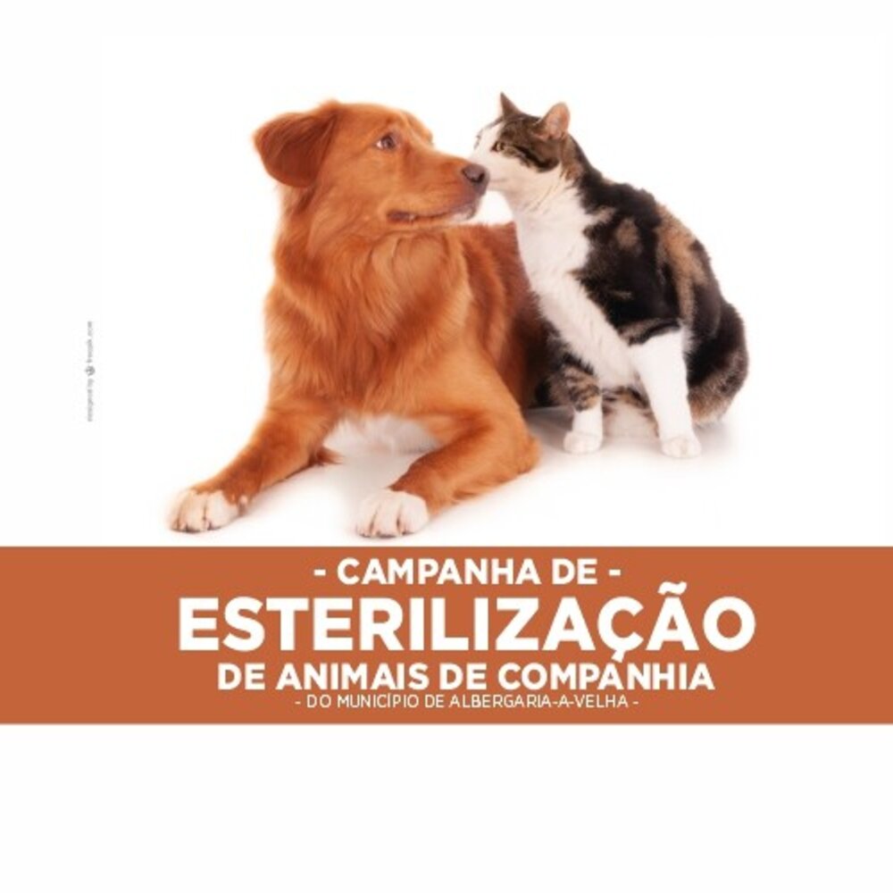 campanha_de_esterilizacao_2025