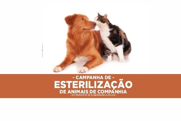 campanha_de_esterilizacao_2025