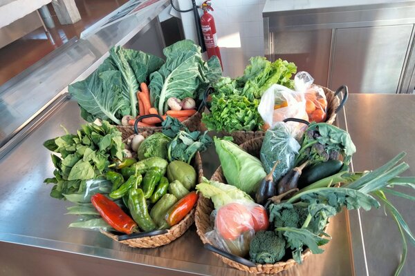 campanha_fruta_feira