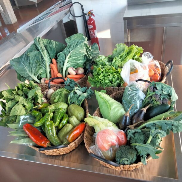 campanha_fruta_feira