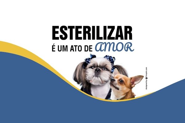 esterilizacao___noticias