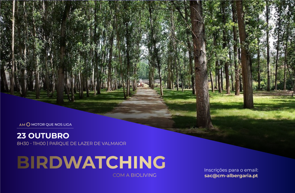 Sessão de observação de aves – Birdwatching 