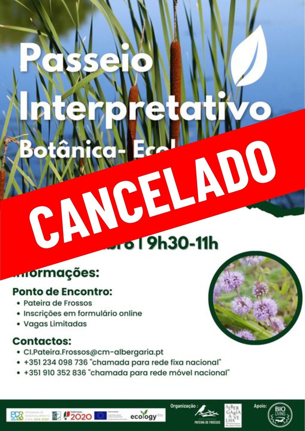 ECOLOGY DAY - PASSEIO INTERPRETATIVO BOTÂNICO