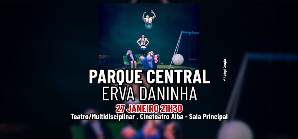 PARQUE CENTRAL - ERVA DANINHA