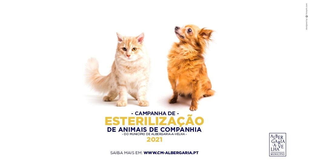 Nova campanha de apoio à esterilização de animais de companhia