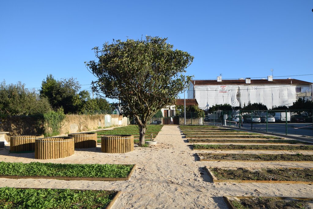 Município de Albergaria-a-Velha cria Horta Biológica