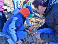 Crianças assinalaram Semana da Reflorestação Nacional com a plantação de sobreiros