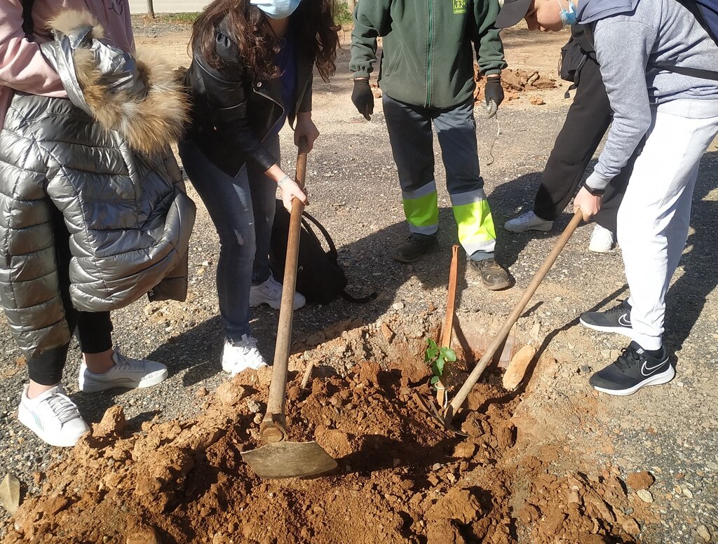 Alunos do 8.º ano plantam 70 árvores na Senhora do Socorro