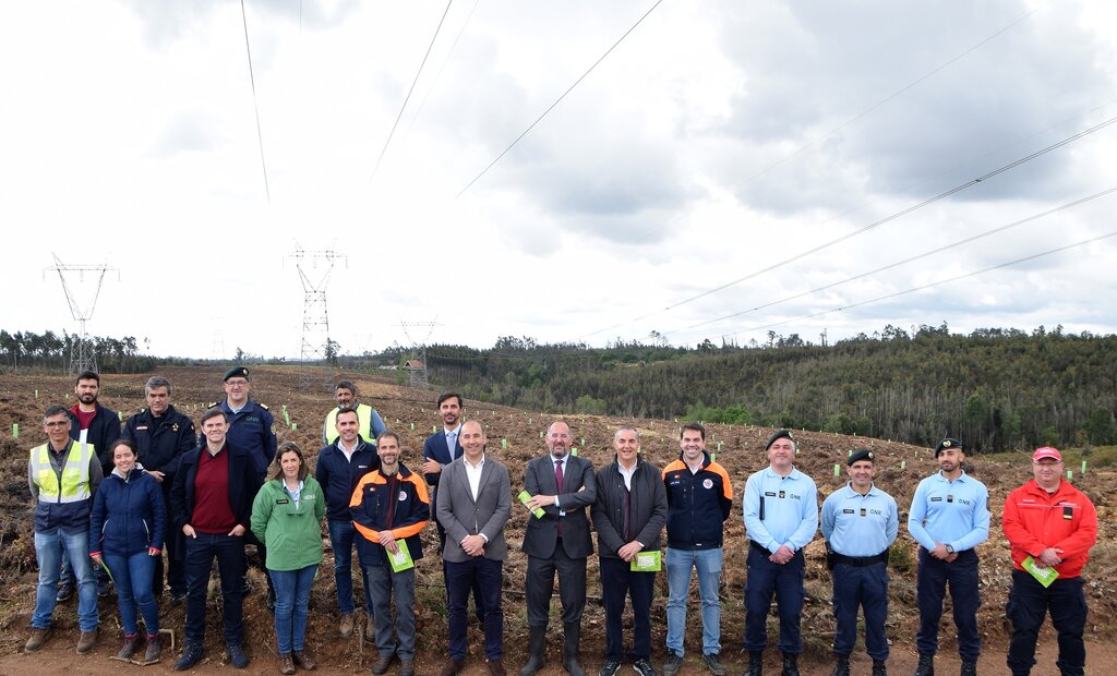 Câmara Municipal e REN implementam Plano de Defesa da Floresta Contra Incêndios