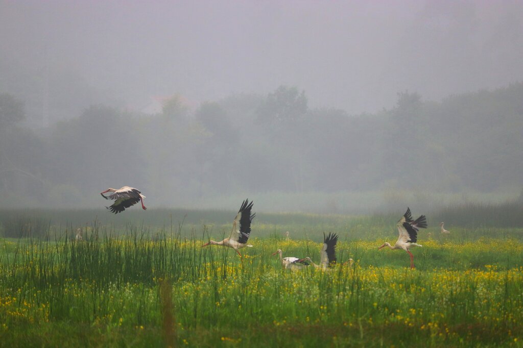 “Paisagens com Alma” mostra a riqueza do Baixo Vouga em fotografia