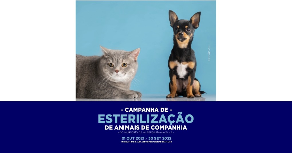 CAMPANHA DE APOIO À ESTERILIZAÇÃO DE ANIMAIS DE COMPANHIA