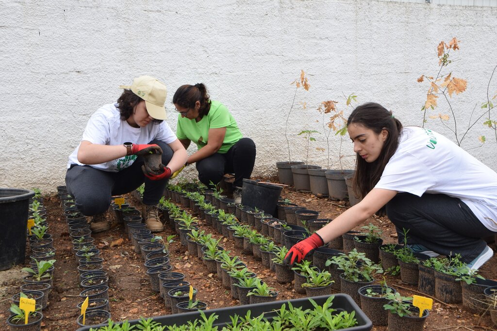 Voluntários colaboram na manutenção do Centro de Interpretação da Pateira de Frossos