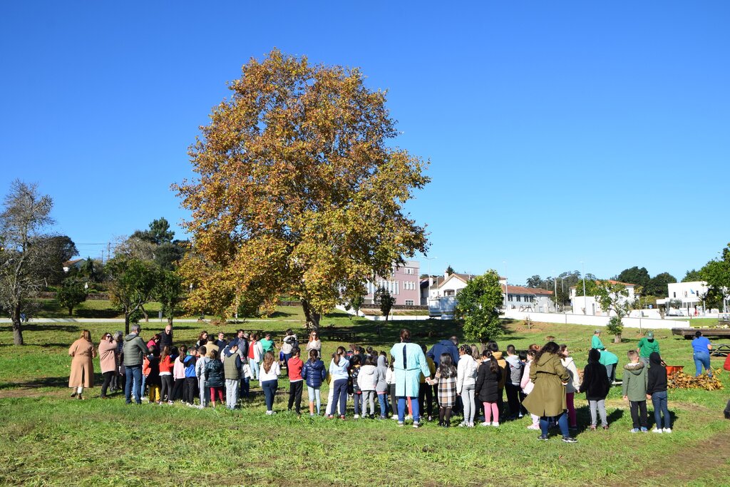 Município celebra Dia da Floresta Autóctone