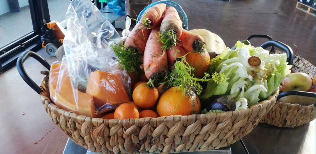 Cerca de 35 kg angariados no primeiro dia da campanha "Aqui, Fruta Feia não vai para o Lixo!"