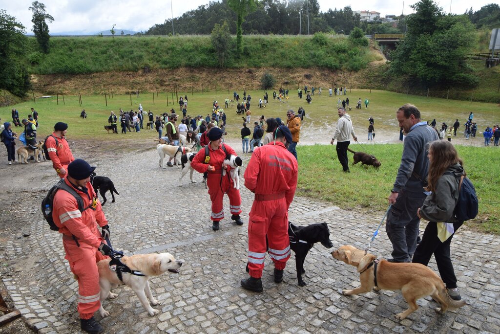 Expo Animal Solidária vai regressar em 2025