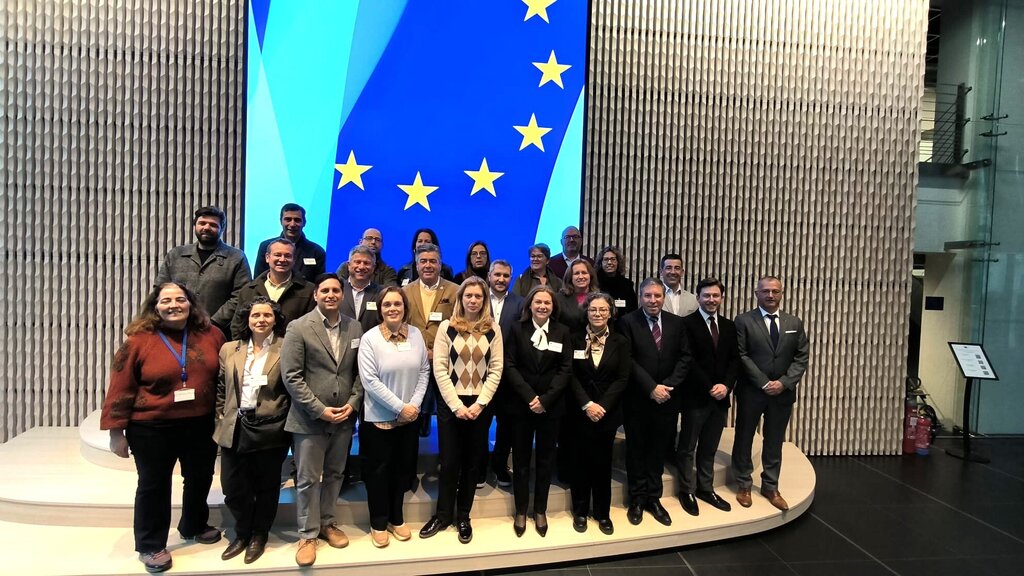 Município de Albergaria-a-Velha marca presença nas sessões de trabalho da Rede BELC/EUCouncillors...