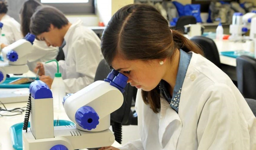 Município de Albergaria-a-Velha apoia participação de alunos em programas de férias nas universid...