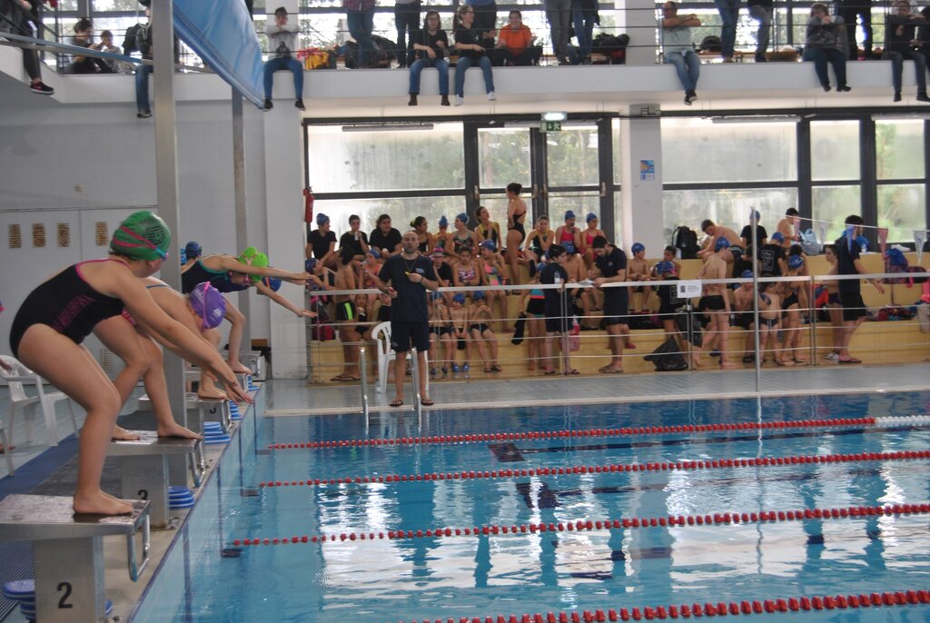 Xl Encontro de Escolas de Natação de Albergaria-a-Velha inclui prova de desporto adaptado