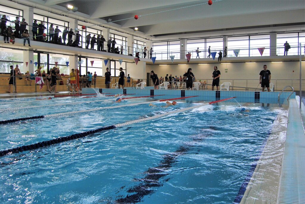 1.º Encontro de Atividades Aquáticas – Cidade de Albergaria-a-Velha promove a natação adaptada