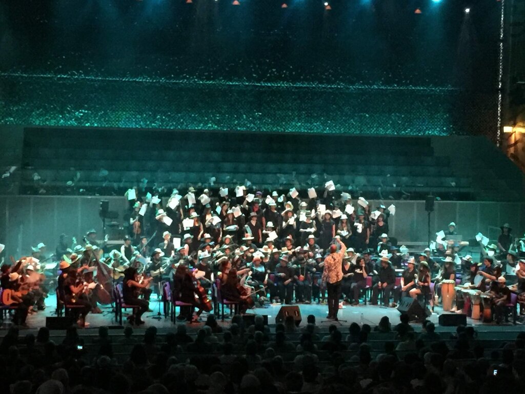 Utentes da APPACDM de Albergaria-a-Velha regressaram ao palco da Casa da Música para Sonópolis