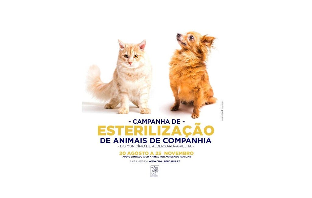 Campanha de esterilização de apoio a animais de companhia