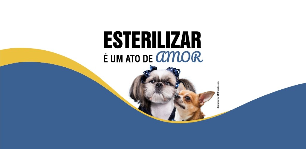 Albergaria-a-Velha lança campanha de sensibilização para a esterilização de animais de companhia