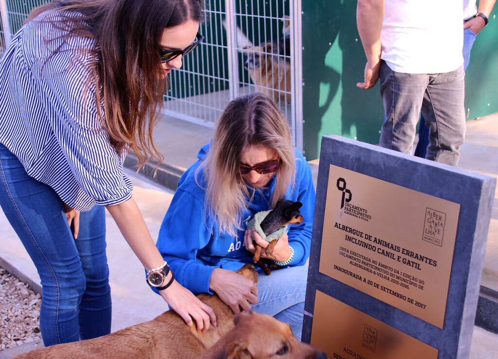 Novo albergue de animais errantes incluindo canil e gatil