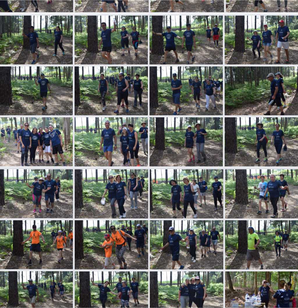 Trail Rota Moinhos 2019 6