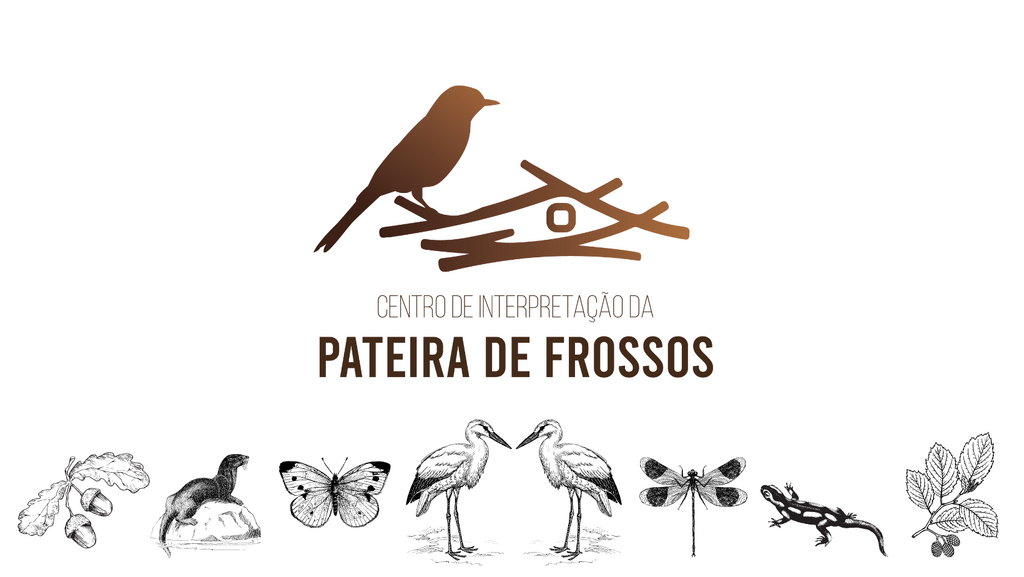 site cipf fundo branco