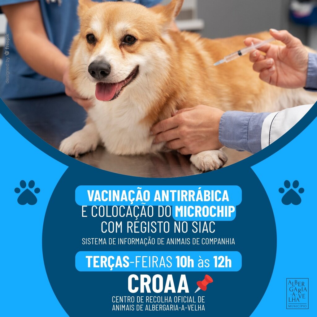 VACINACAO E ESTERILIZACAO