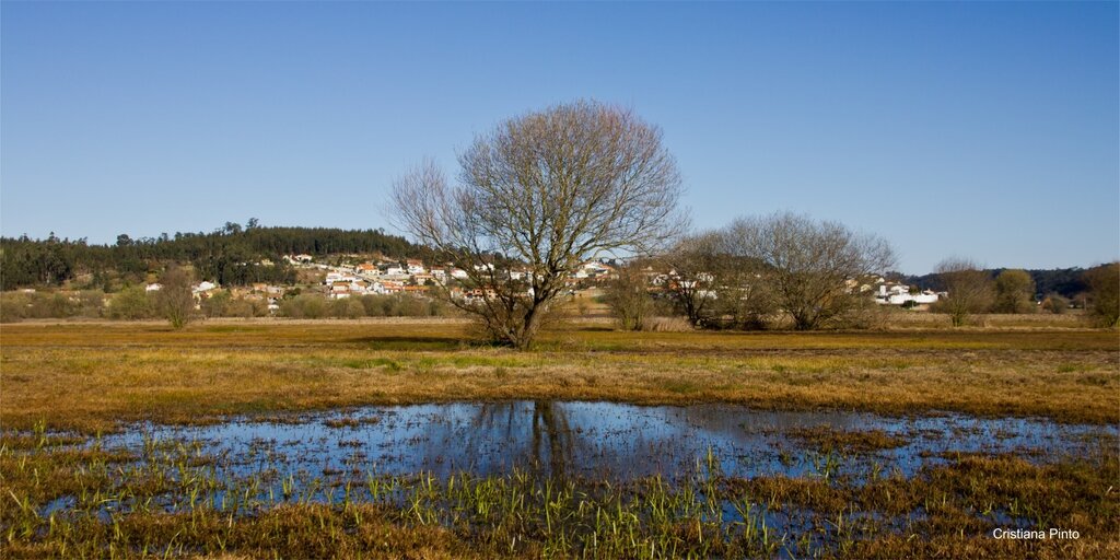 Pateira de Frossos