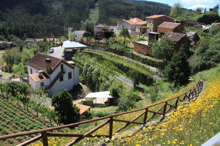 Vilarinho de S. Roque