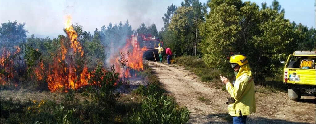 fogo controlado